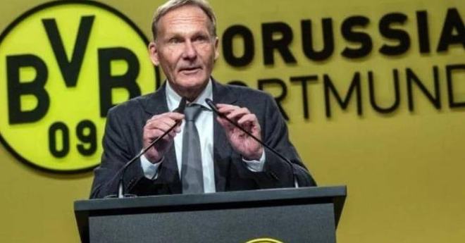 若菲尼克斯 若菲尼克斯