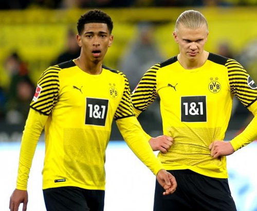 品牌赞助的 品牌赞助的